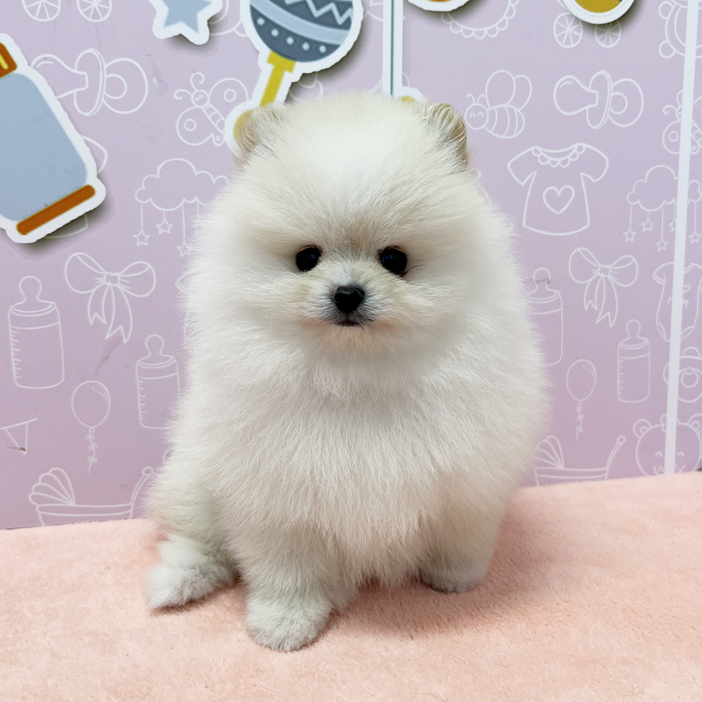 新しい仲間が増えました♪